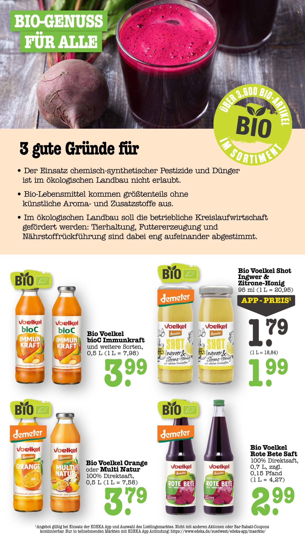 Scheck-in Prospekte  - 10.08.2026 - 15.08.2026. Seite 40