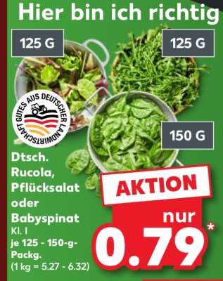 Dtsch. Rucola, Pflücksalat oder Babyspinat