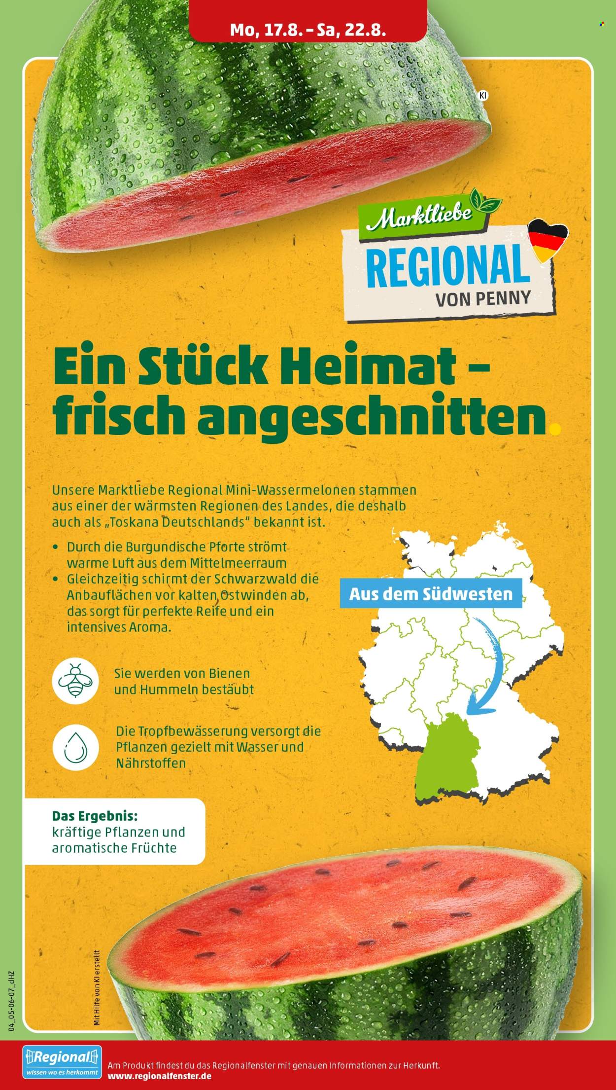 Penny Prospekte  - 17.08.2026 - 22.08.2026. Seite 10