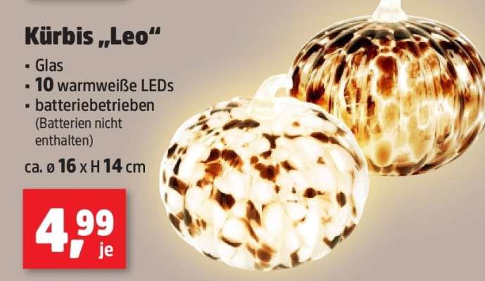Kürbis „Leo“