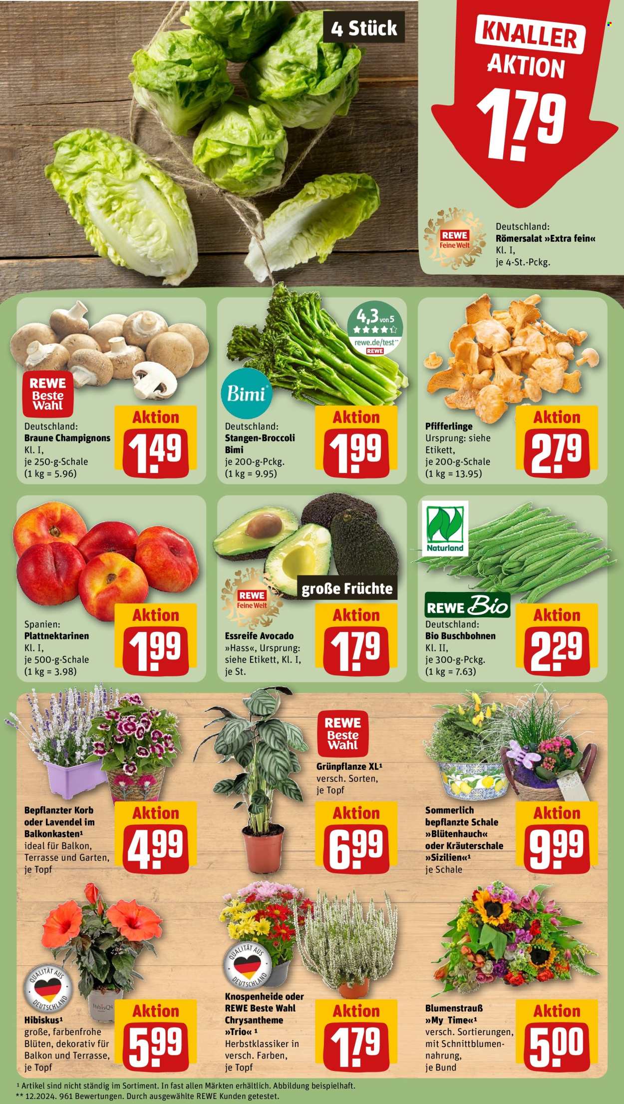 REWE Prospekte  - 17.08.2026 - 23.08.2026. Seite 9
