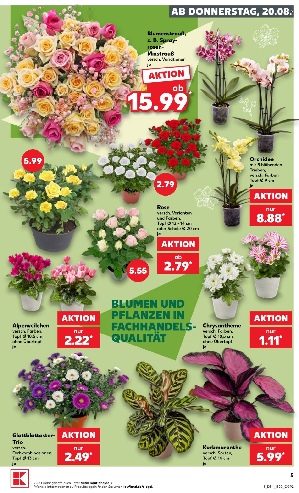 Kaufland Prospekte  - 20.08.2026 - 26.08.2026. Seite 5