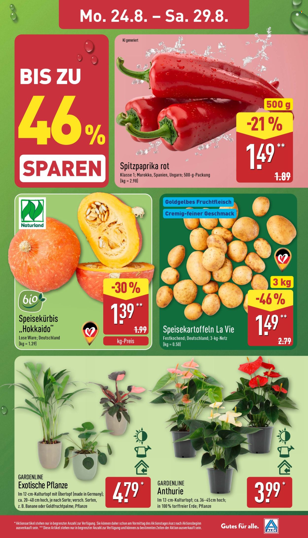 ALDI Nord Prospekte  - 24.08.2026 - 29.08.2026. Seite 3