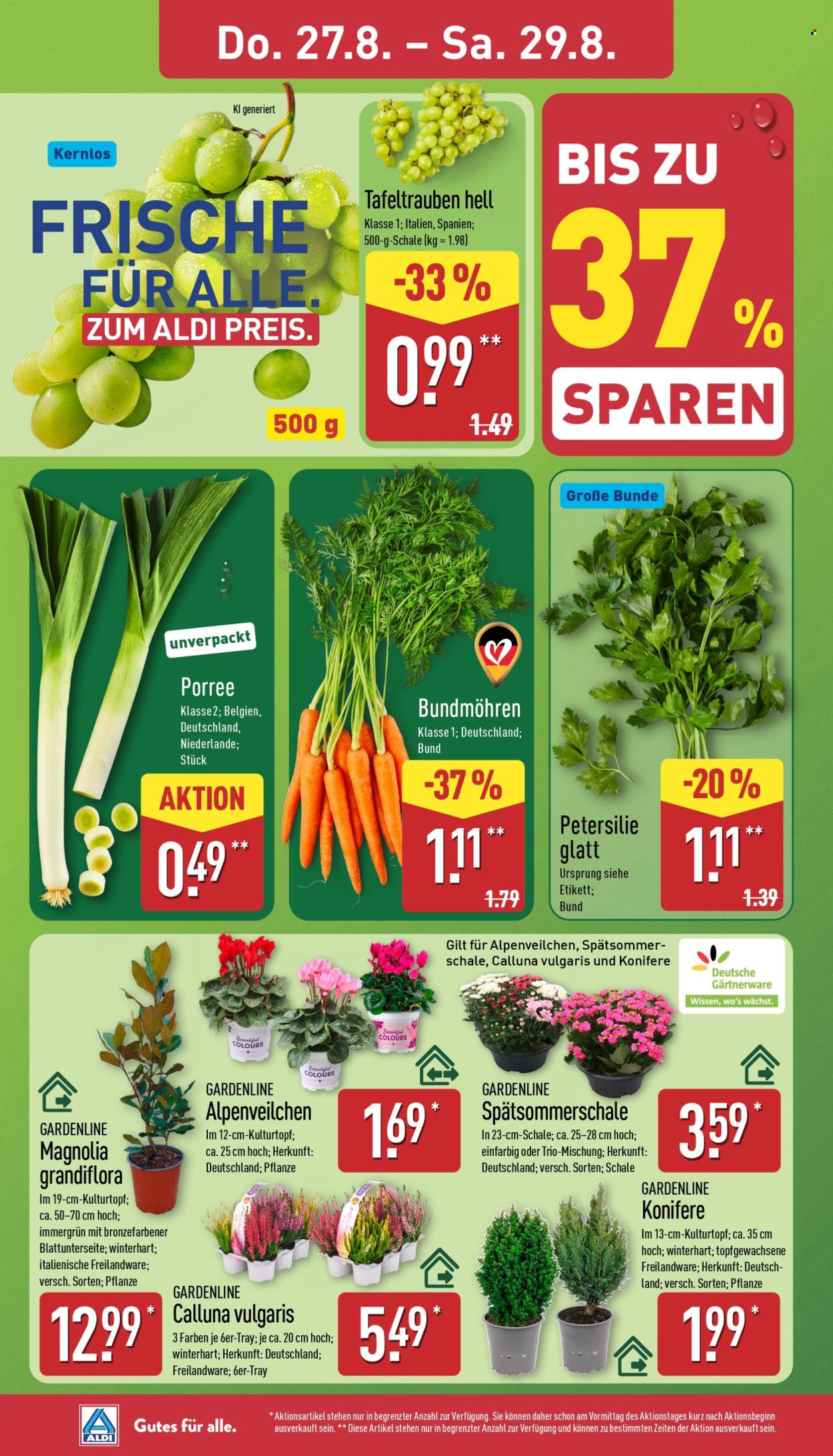 ALDI Nord Prospekte  - 24.08.2026 - 29.08.2026. Seite 26