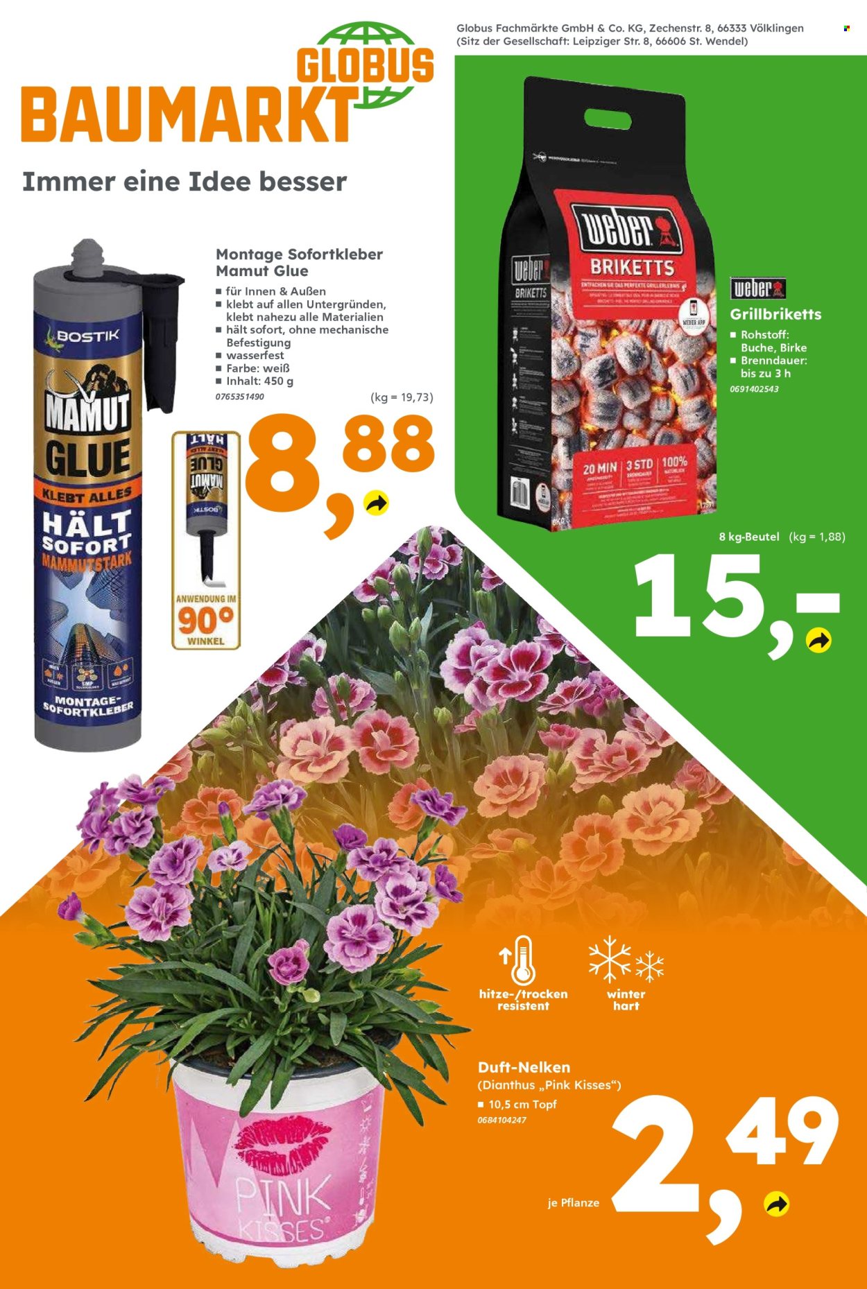 Globus Baumarkt Prospekte  - 17.08.2026 - 22.08.2026. Seite 8