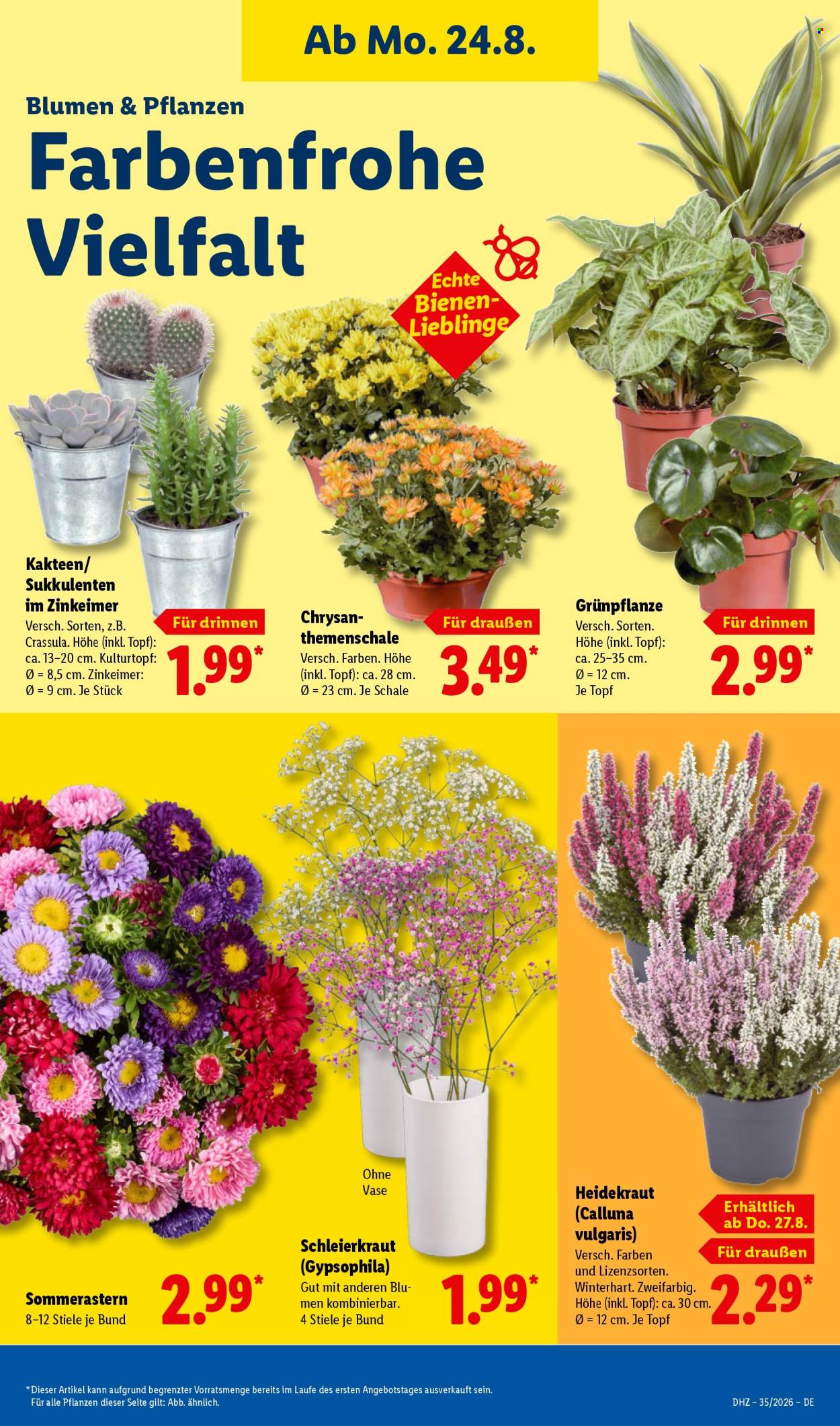 Lidl Prospekte  - 24.08.2026 - 29.08.2026. Seite 15
