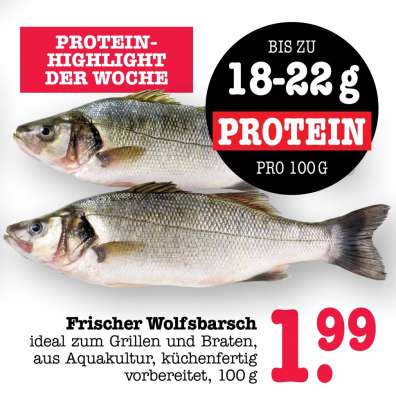 Frischer Wolfsbarsch
