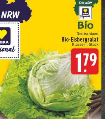 Bio-Eisbergsalat
