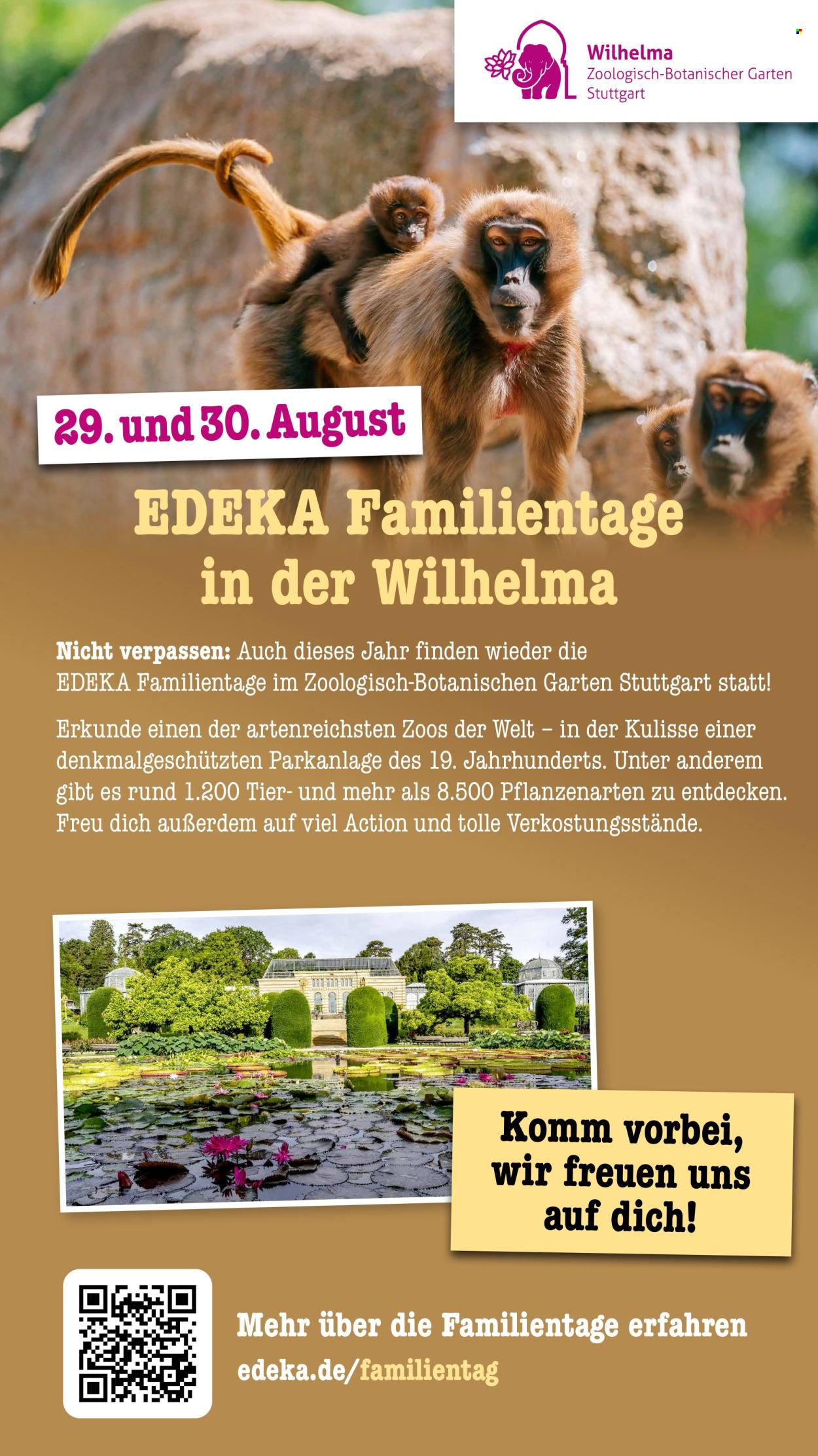 Scheck-in Prospekte  - 17.08.2026 - 22.08.2026. Seite 79