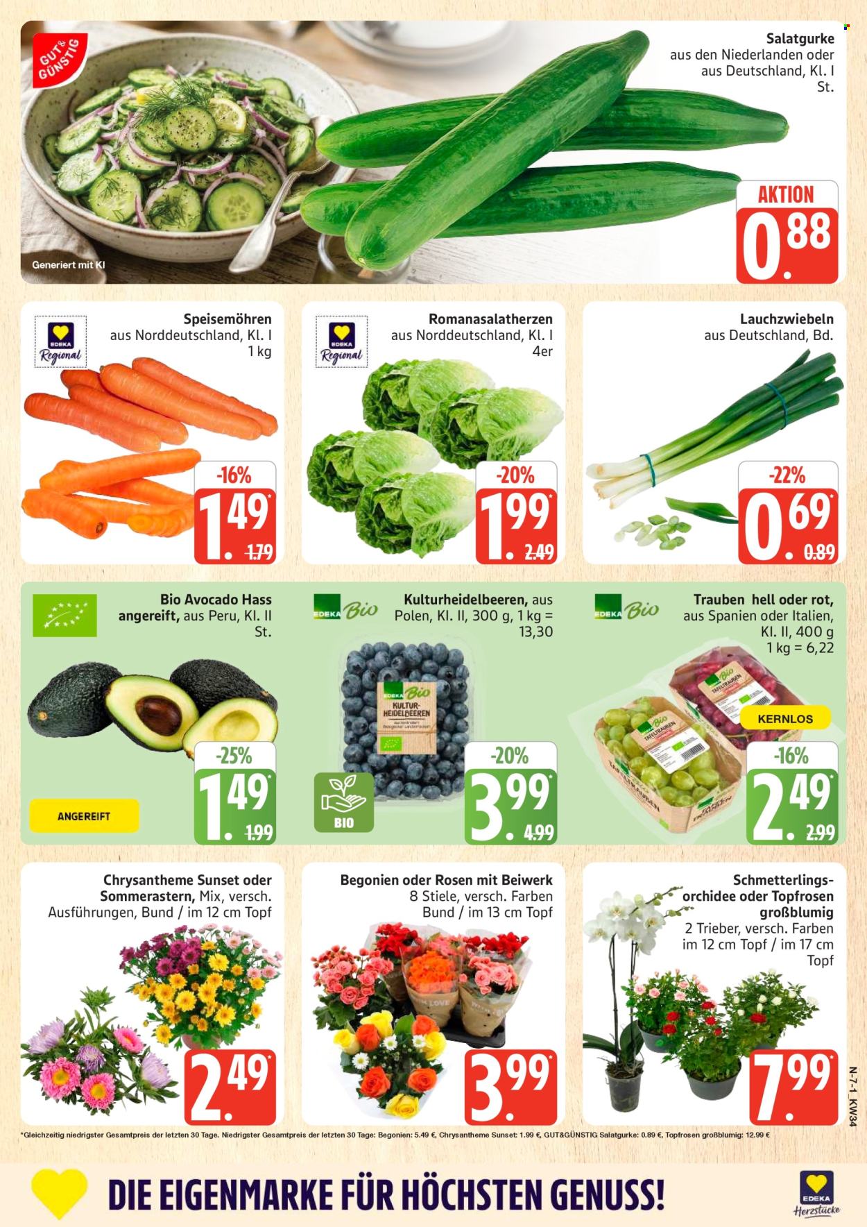 Marktkauf Prospekte  - 17.08.2026 - 22.08.2026. Seite 7