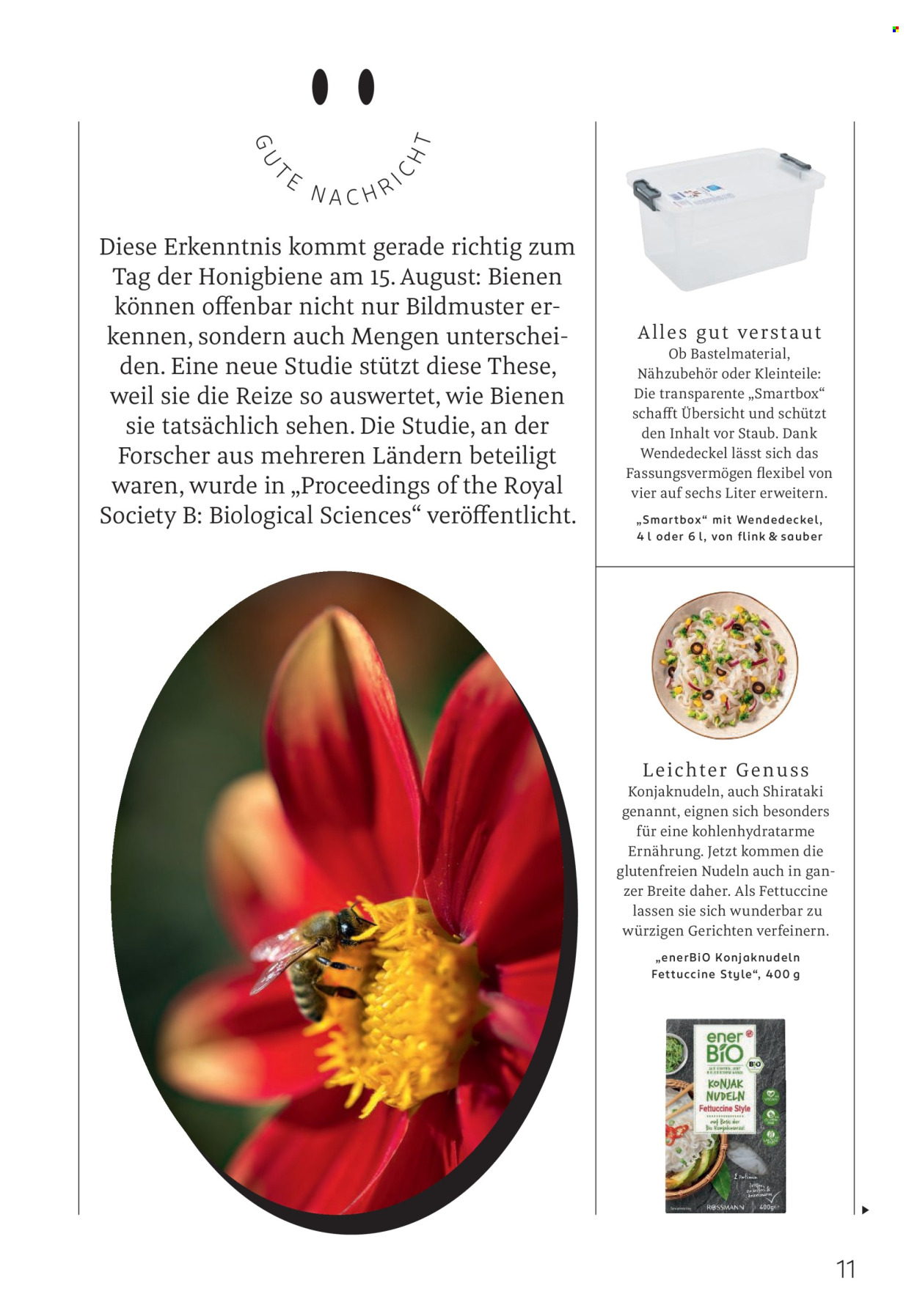 Rossmann Prospekte  - 1.08.2026 - 31.08.2026. Seite 11