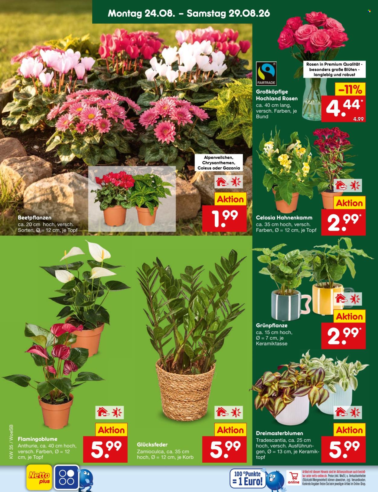 Netto Marken-Discount Prospekte  - 24.08.2026 - 29.08.2026. Seite 20