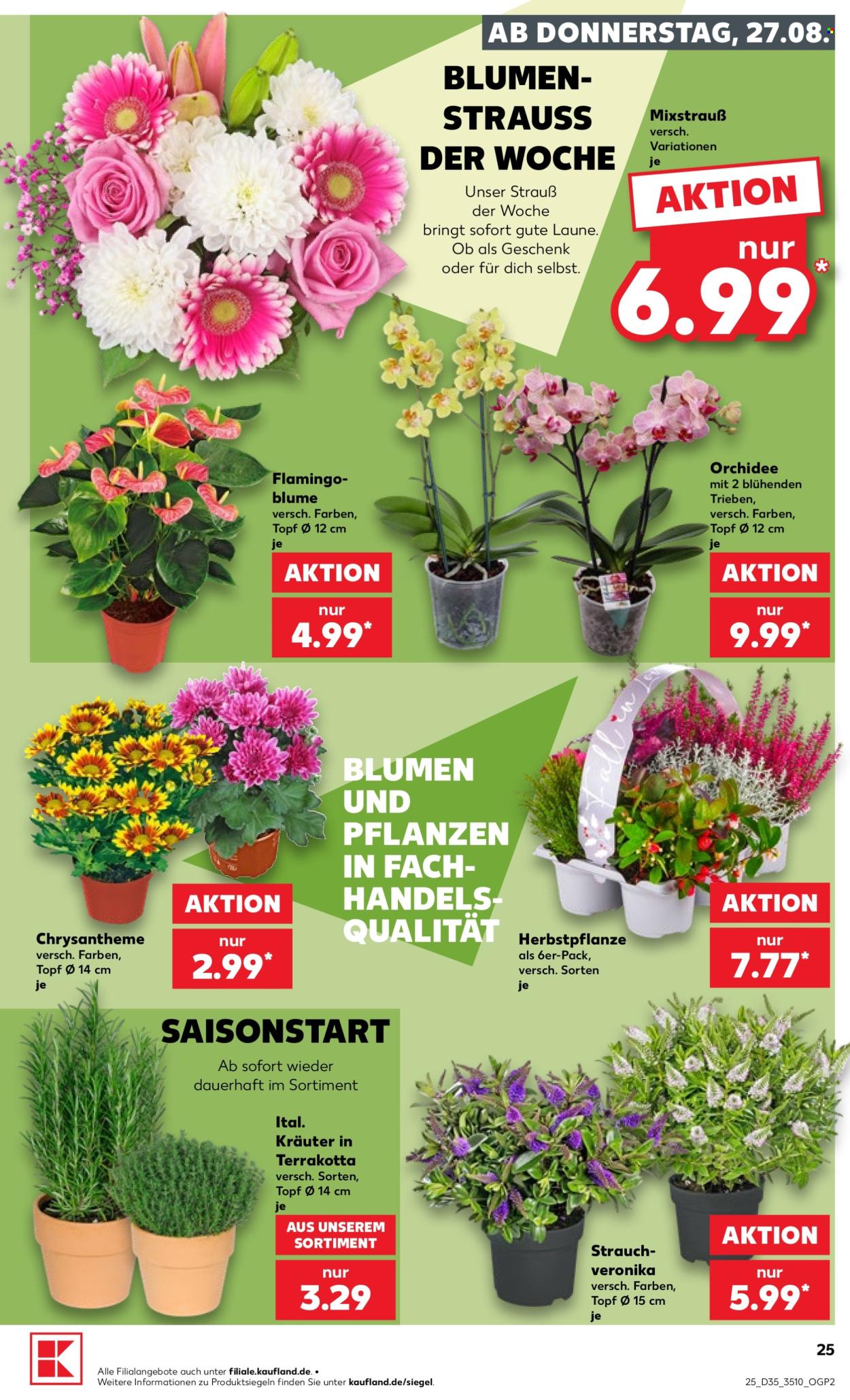Kaufland Prospekte  - 27.08.2026 - 2.09.2026. Seite 25