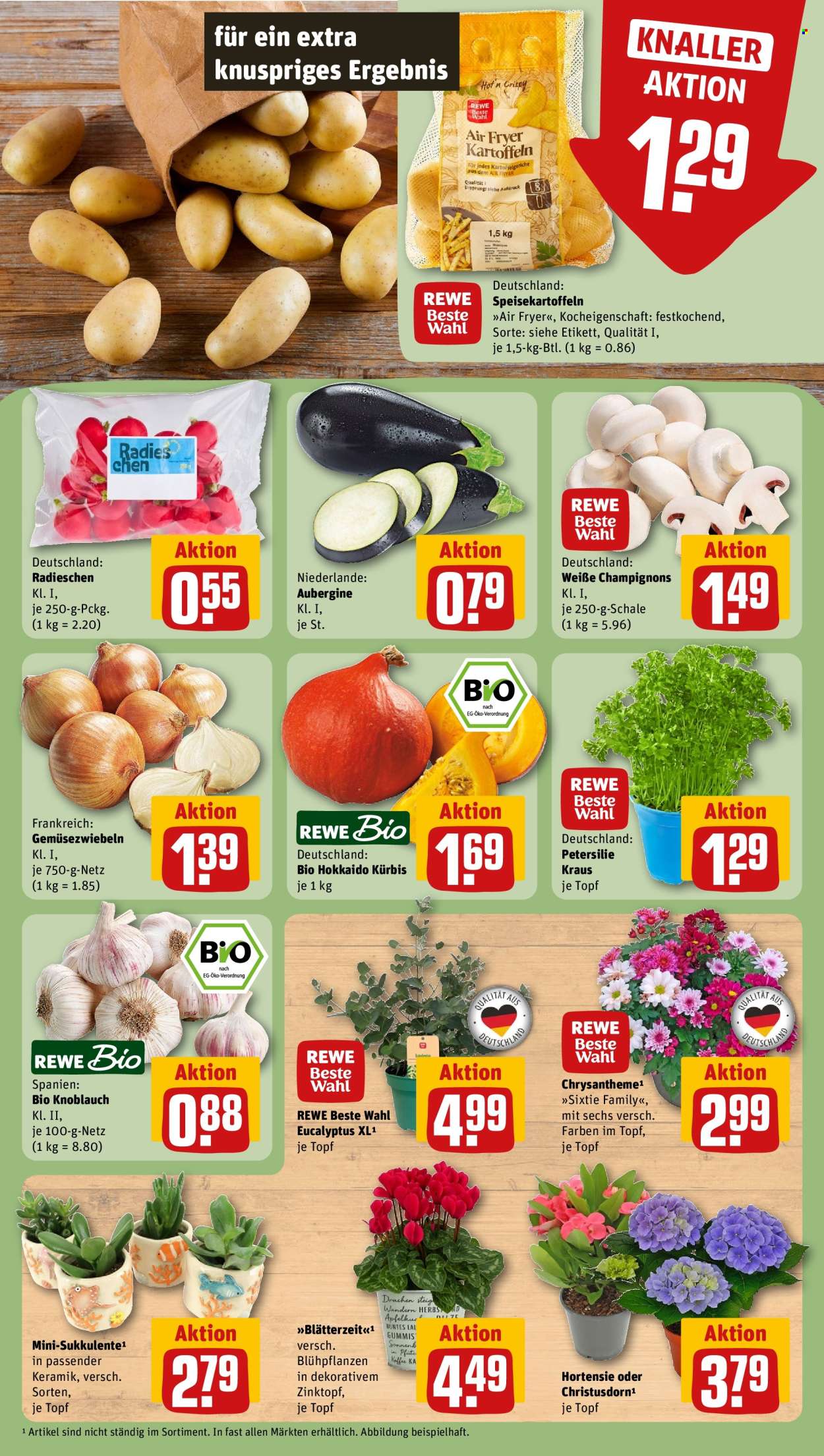 REWE Prospekte  - 24.08.2026 - 30.08.2026. Seite 7