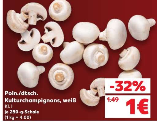 Poln./dtsch. Kulturchampignons, weiß