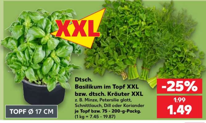 Dtsch. Basilikum im Topf XXL bzw. dtsch. Kräuter XXL