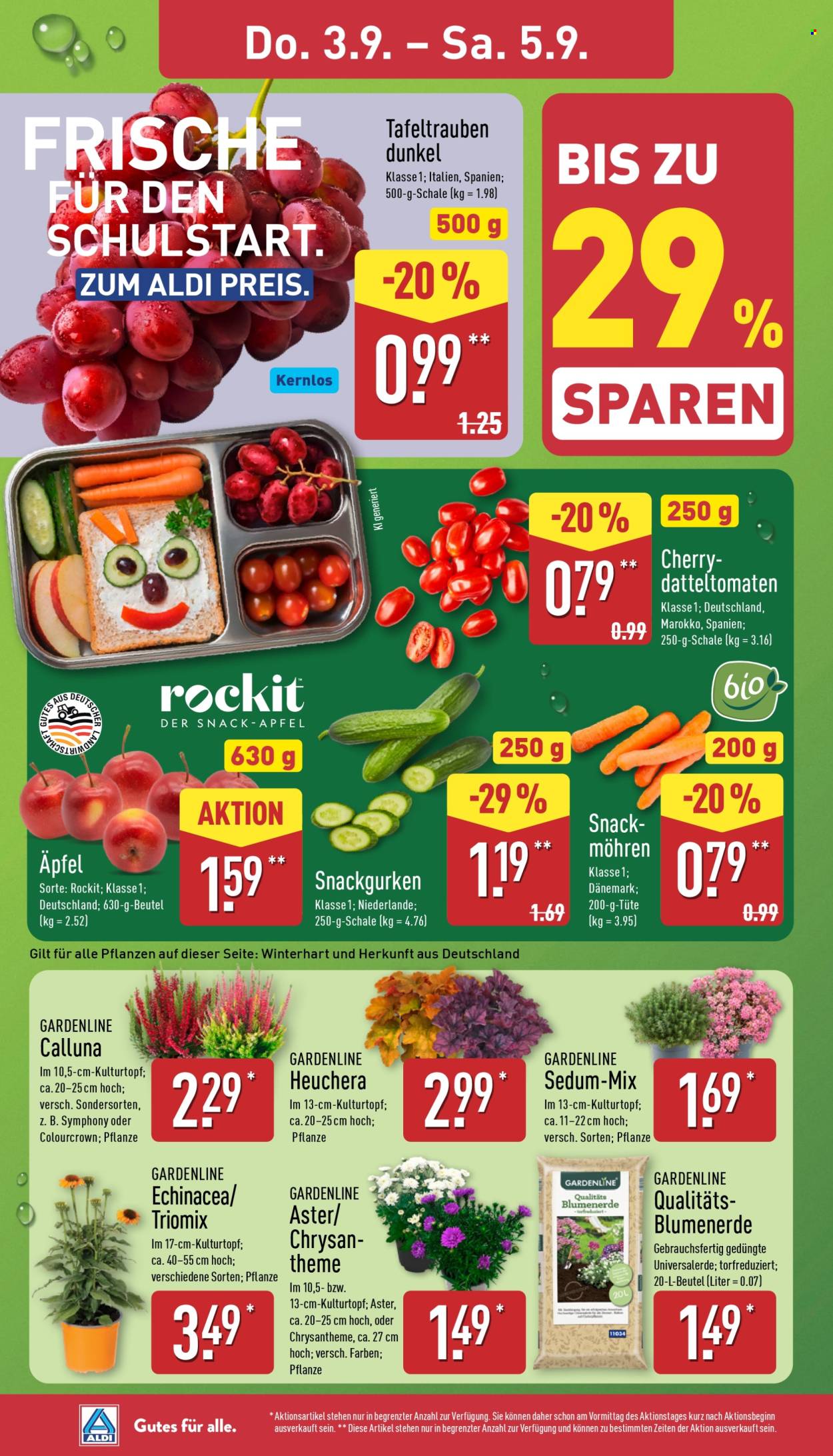 ALDI Nord Prospekte  - 31.08.2026 - 5.09.2026. Seite 26