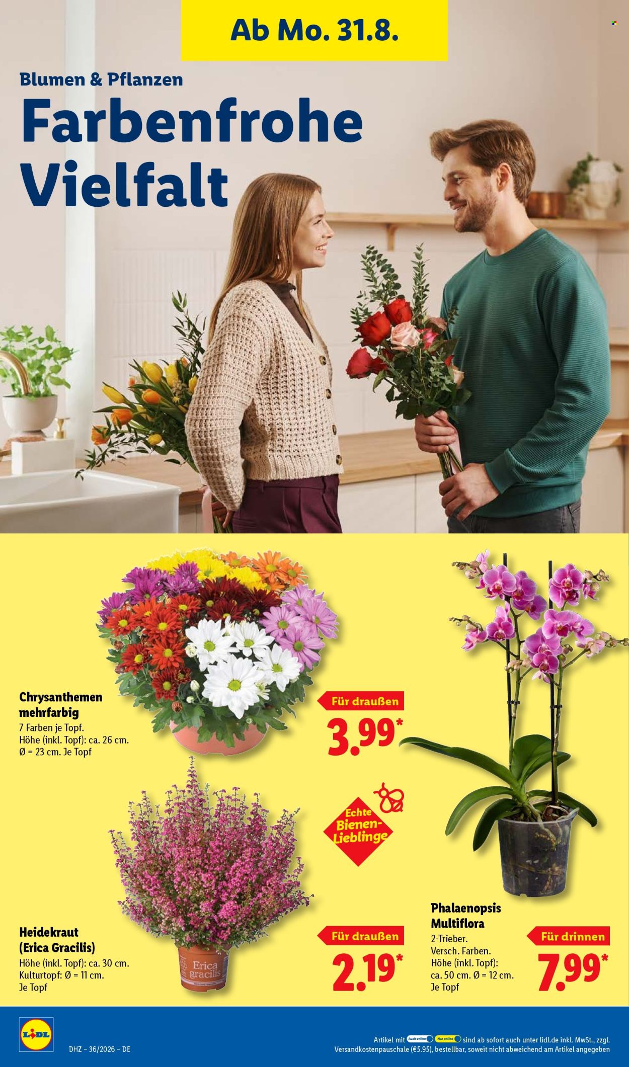 Lidl Prospekte  - 31.08.2026 - 5.09.2026. Seite 26