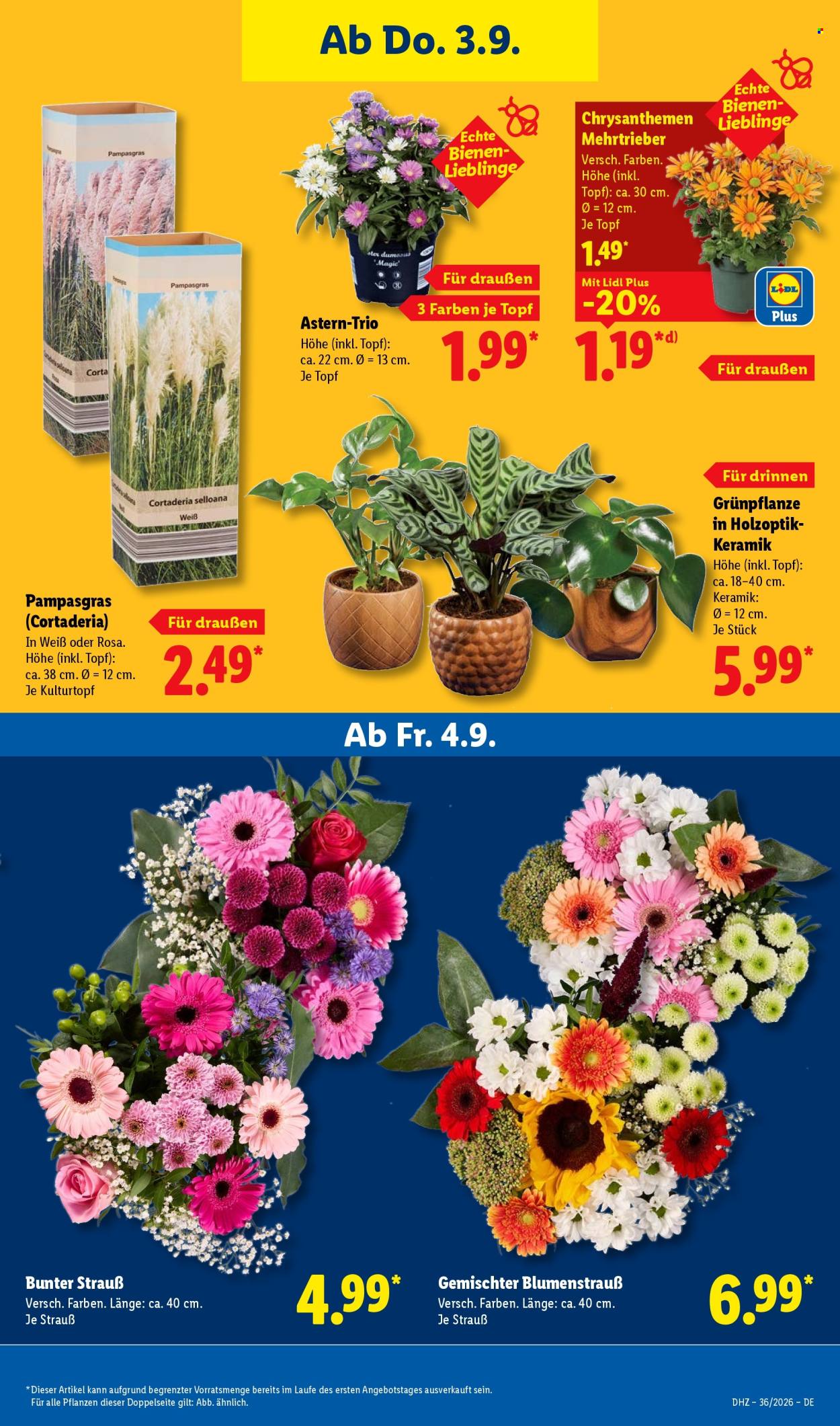 Lidl Prospekte  - 31.08.2026 - 5.09.2026. Seite 27