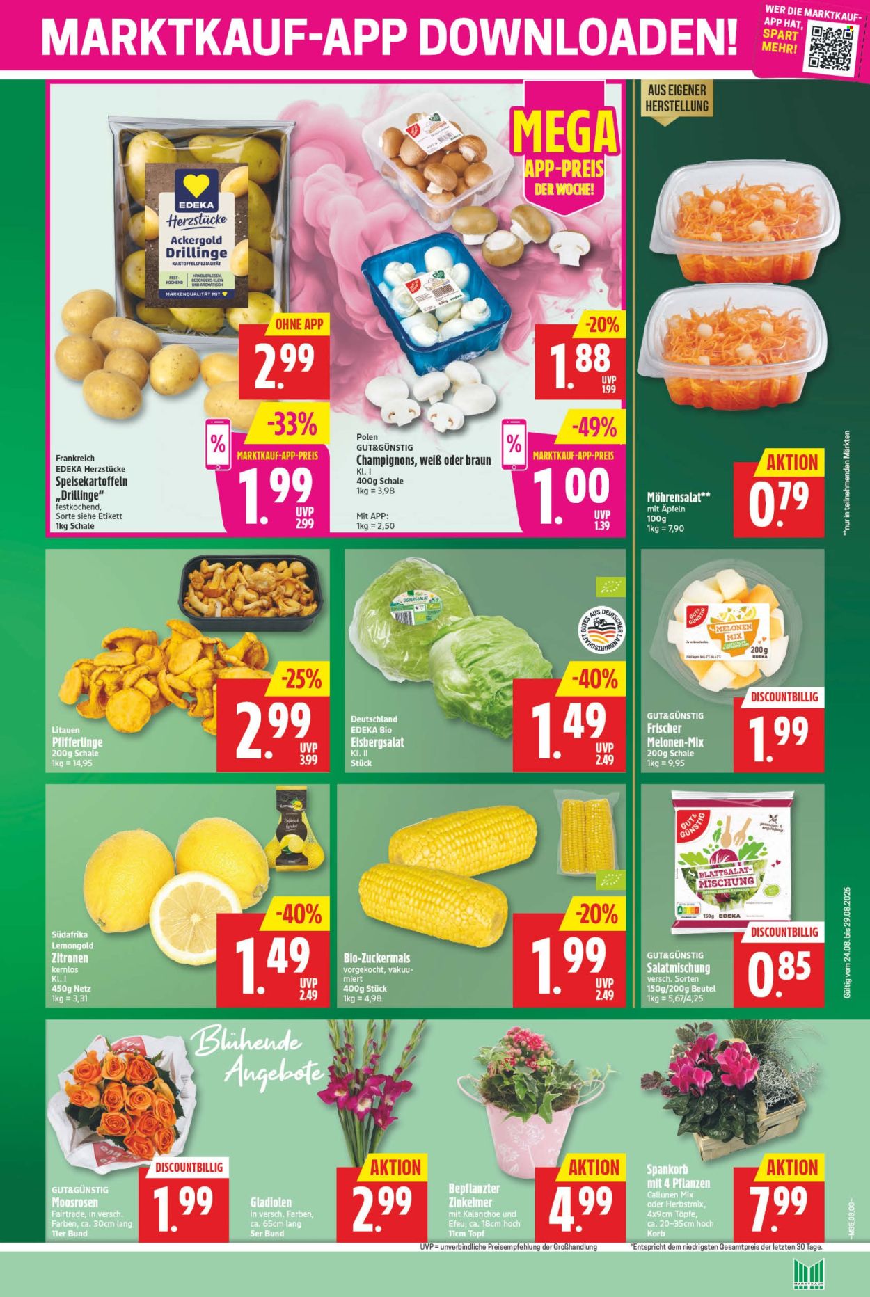 Marktkauf Prospekte  - 24.08.2026 - 29.08.2026. Seite 3