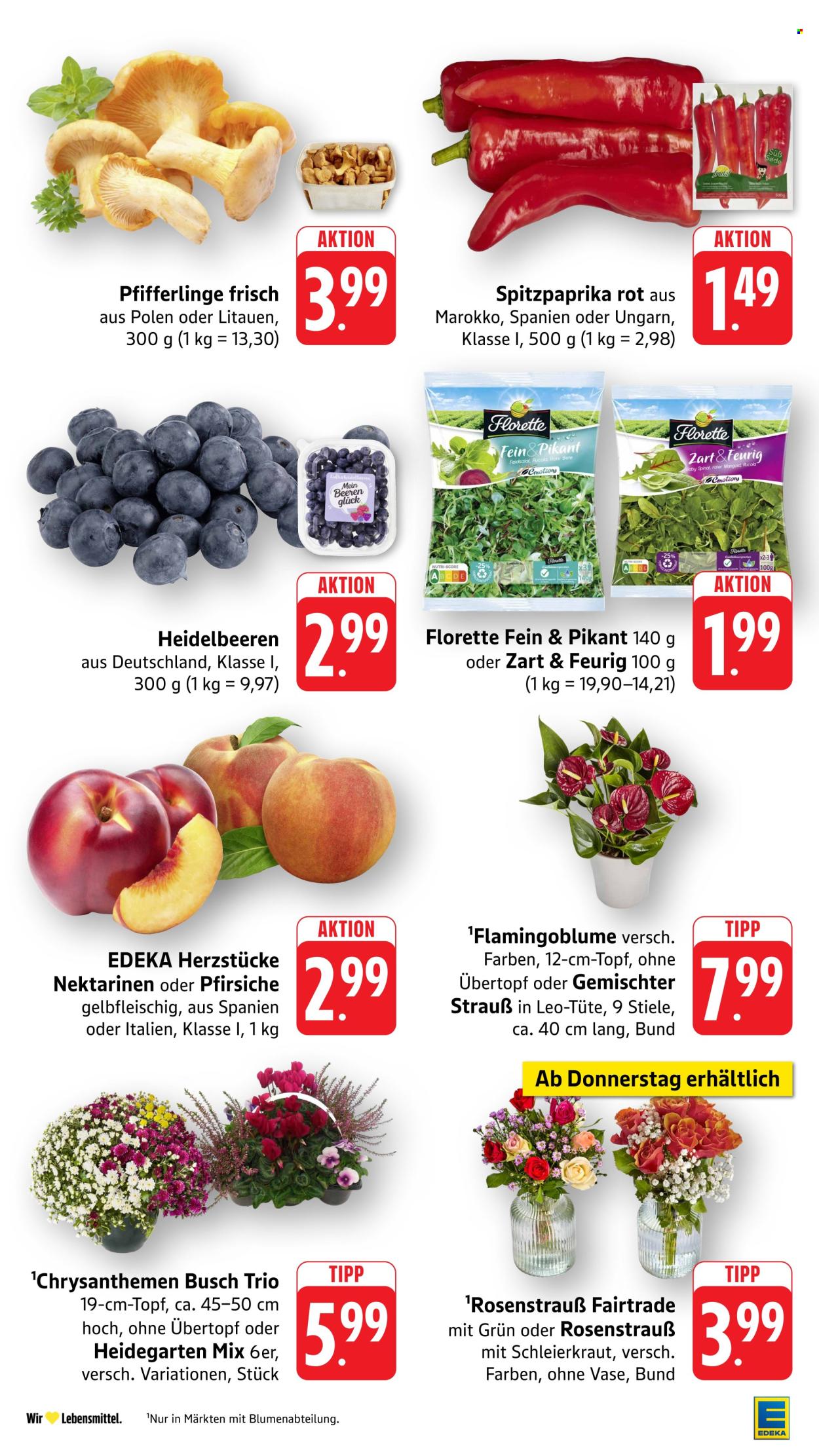 Edeka Prospekte  - 24.08.2026 - 29.08.2026. Seite 11