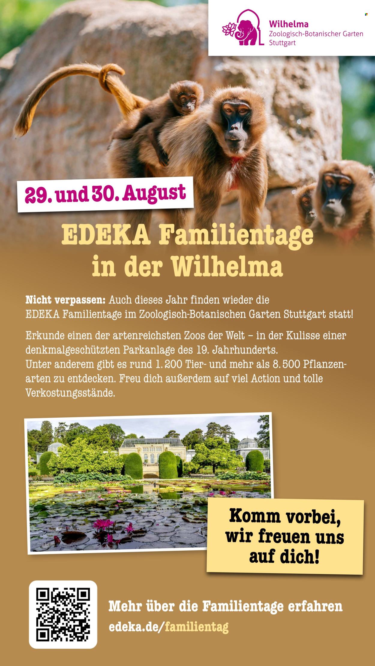 Scheck-in Prospekte  - 24.08.2026 - 29.08.2026. Seite 58