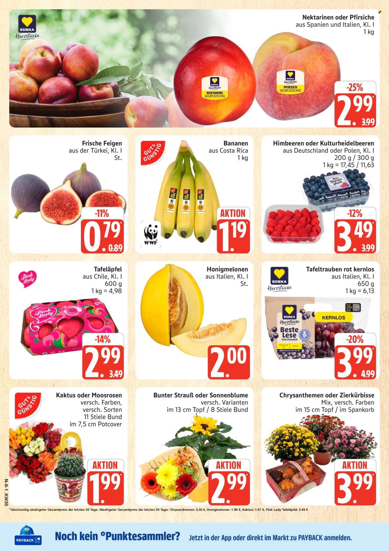 E center Prospekte  - 24.08.2026 - 29.08.2026. Seite 8