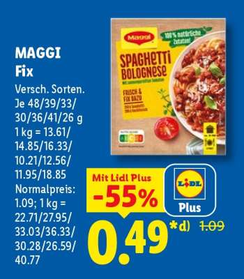 Maggi fix