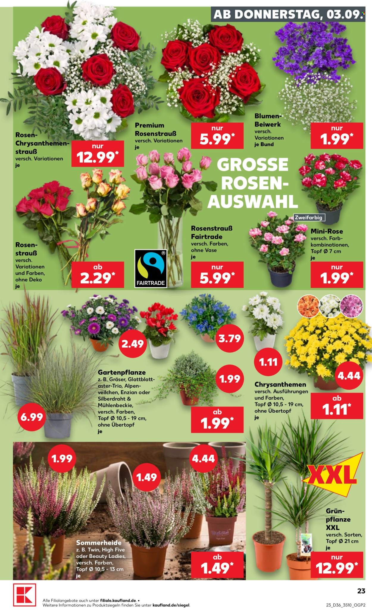 Kaufland Prospekte  - 3.09.2026 - 9.09.2026. Seite 23