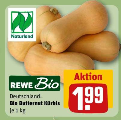 Bio Butternut Kürbis