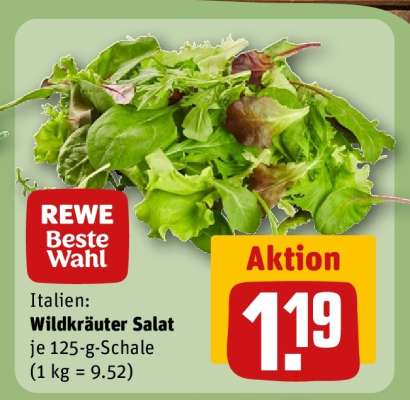 Wildkräuter Salat