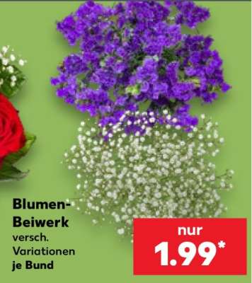 Blumen-Beiwerk