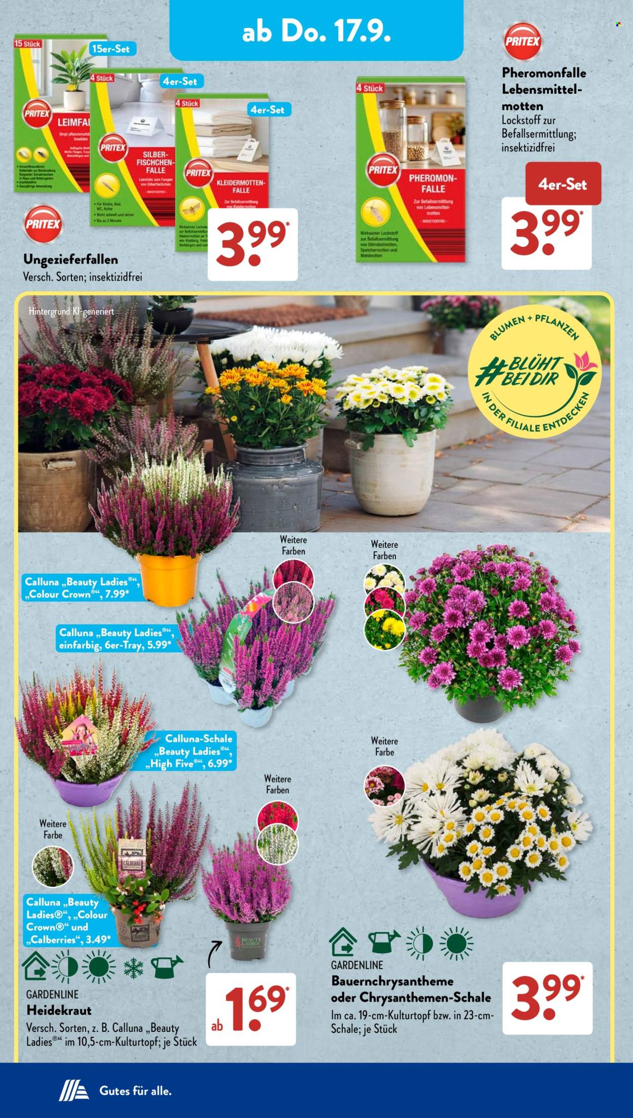 ALDI SÜD Prospekte  - 14.09.2026 - 19.09.2026. Seite 12