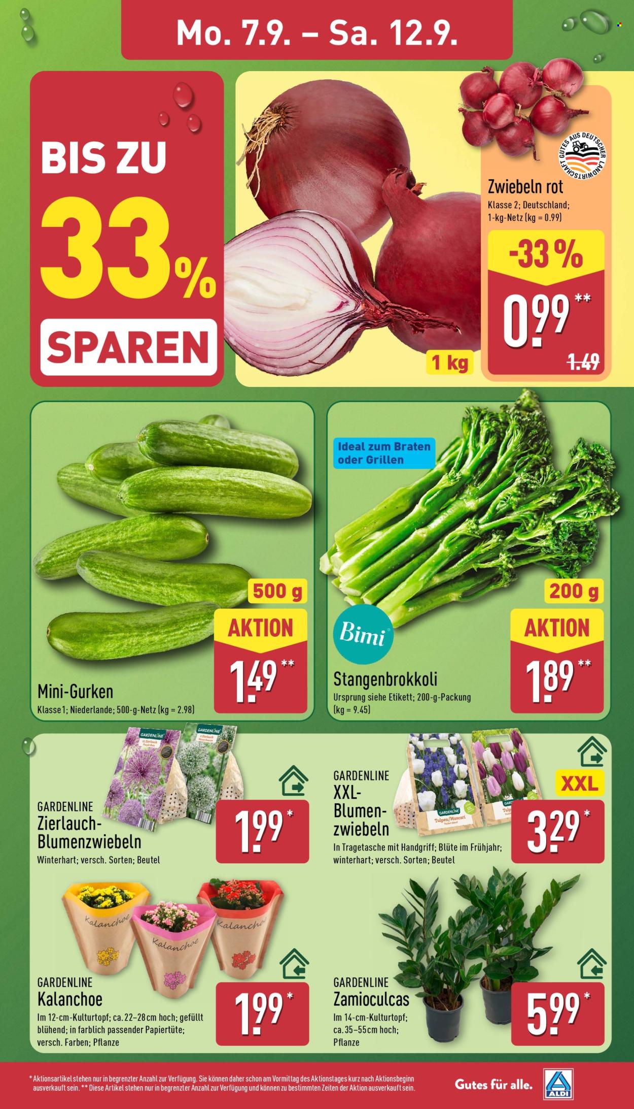 ALDI Nord Prospekte  - 7.09.2026 - 12.09.2026. Seite 3