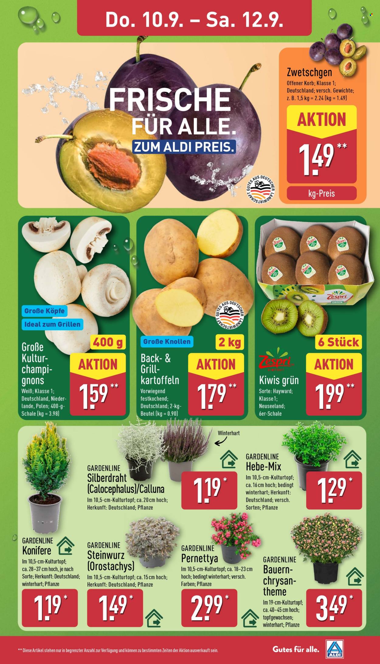 ALDI Nord Prospekte  - 7.09.2026 - 12.09.2026. Seite 27