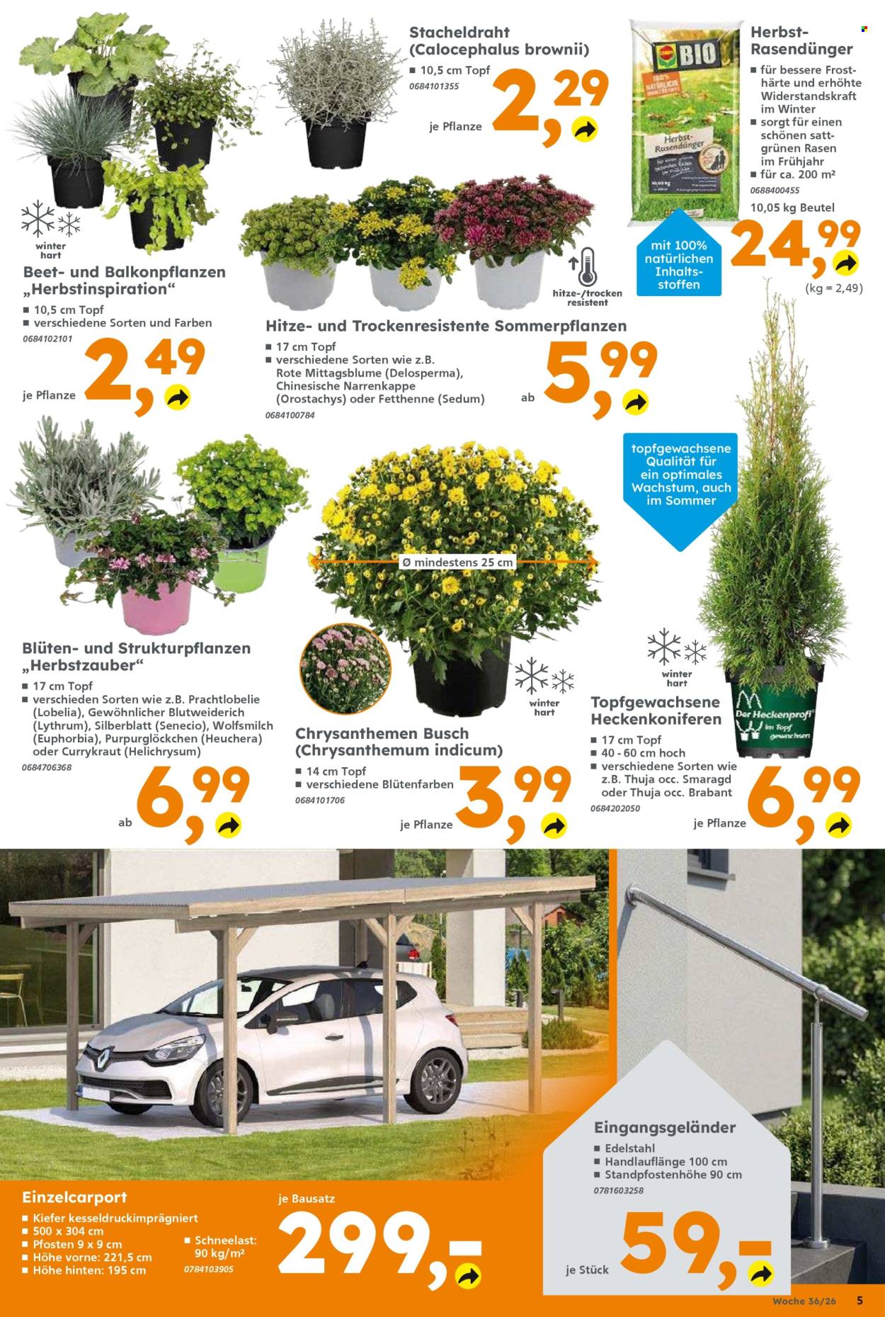 Globus Baumarkt Prospekte  - 31.08.2026 - 5.09.2026. Seite 5
