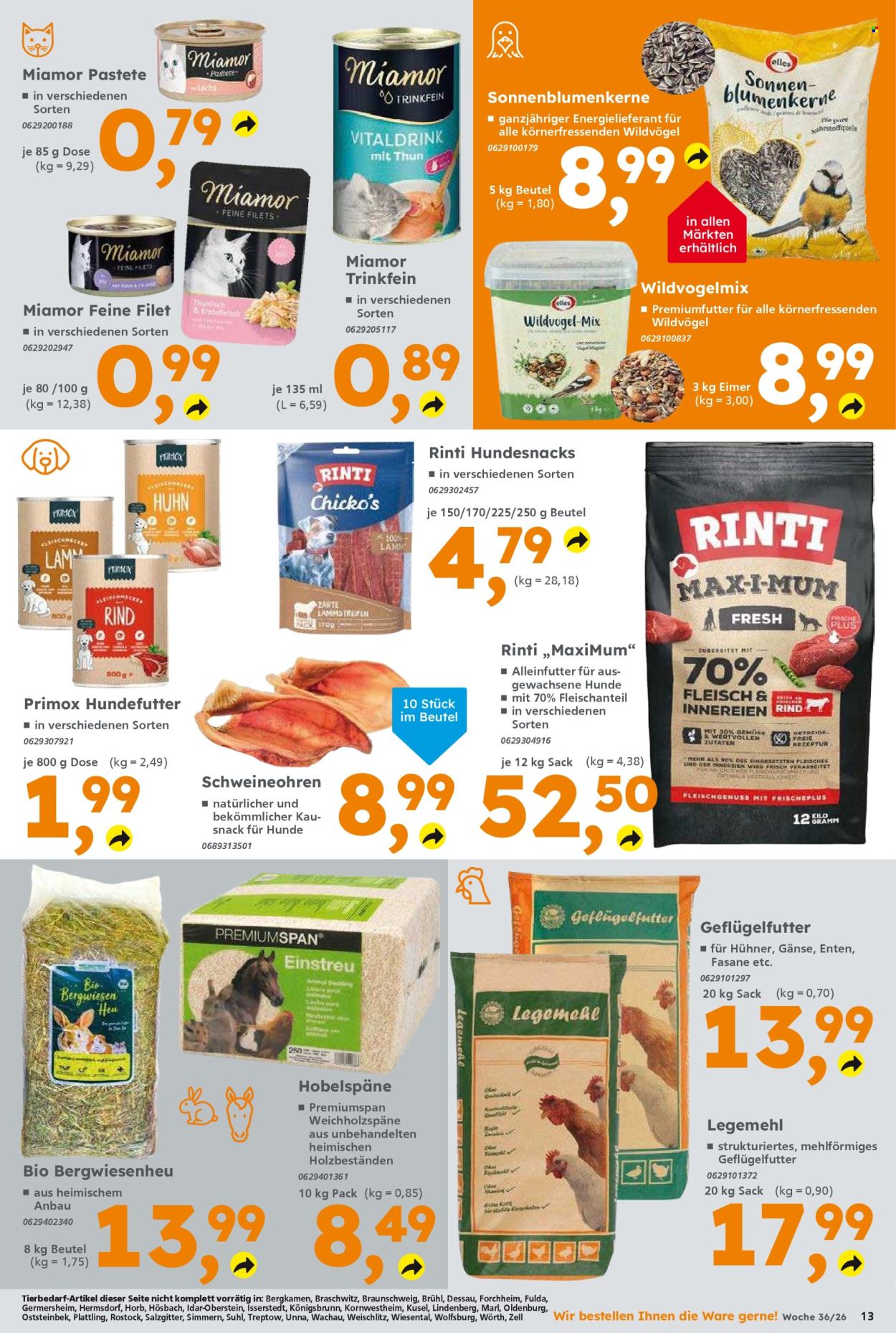 Globus Baumarkt Prospekte  - 31.08.2026 - 5.09.2026. Seite 13