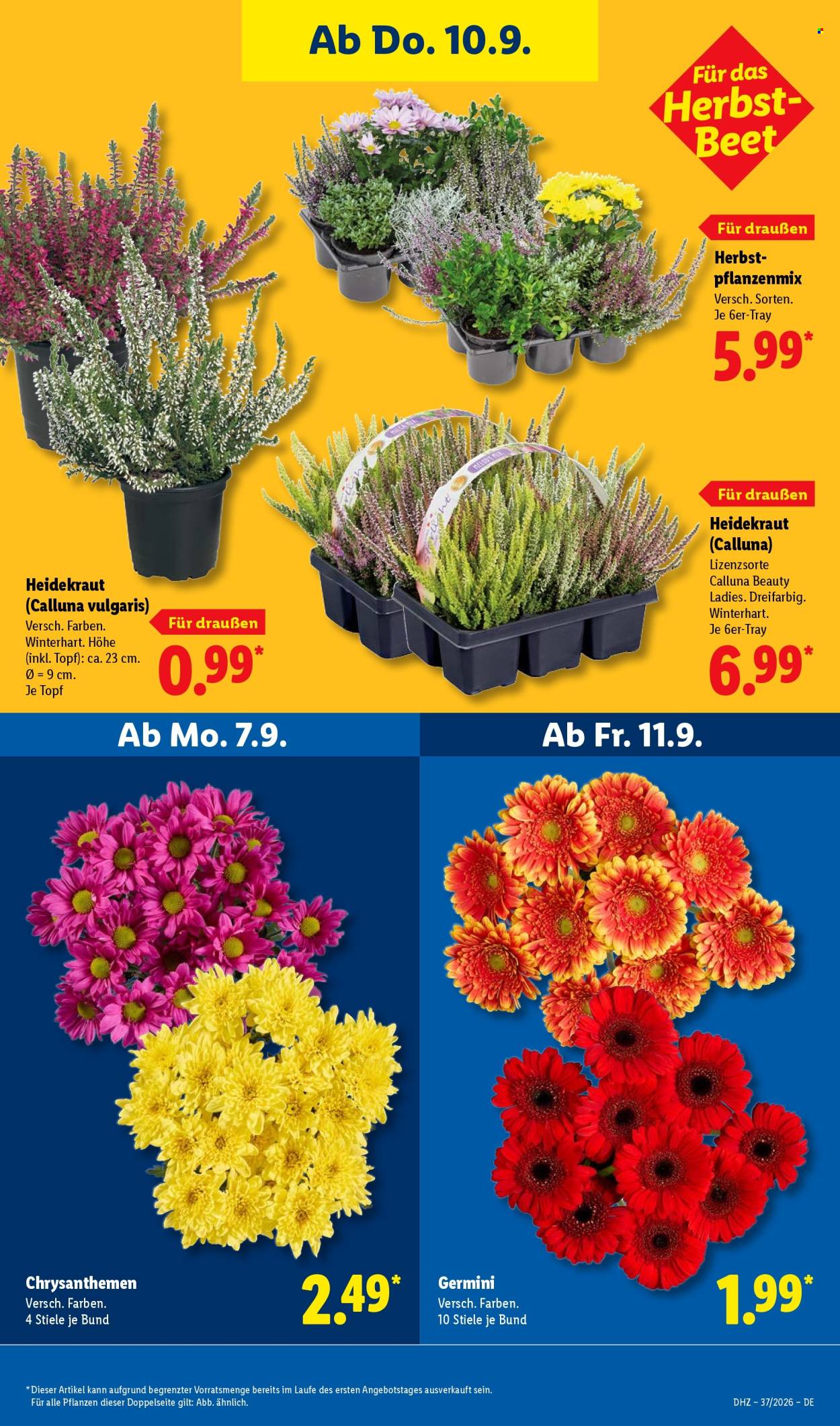 Lidl Prospekte  - 7.09.2026 - 12.09.2026. Seite 27