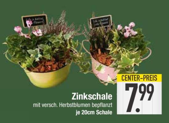 Zinkschale