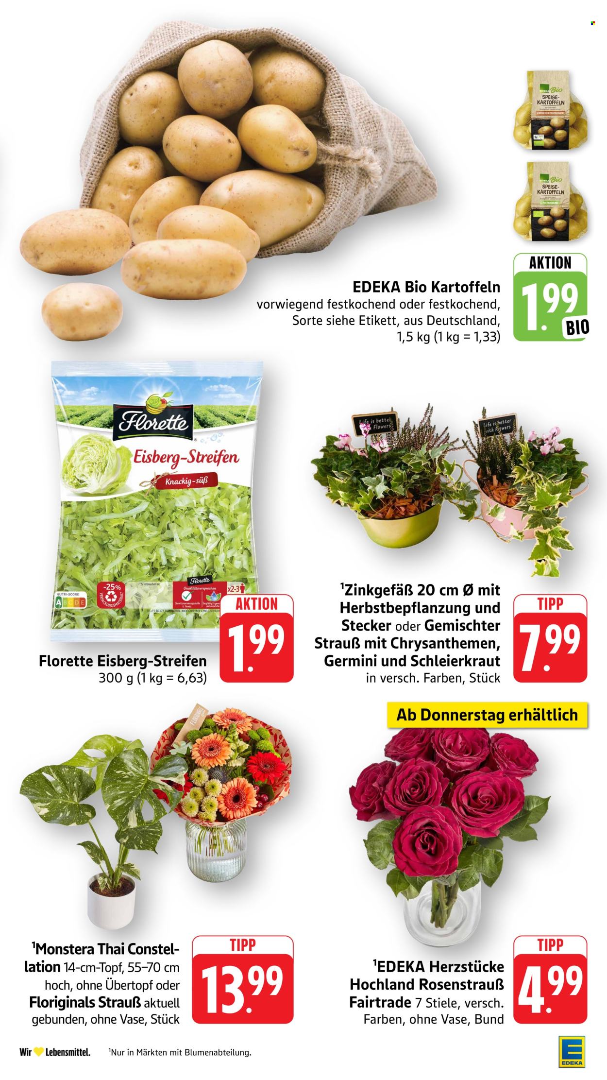 E center Prospekte  - 31.08.2026 - 5.09.2026. Seite 13