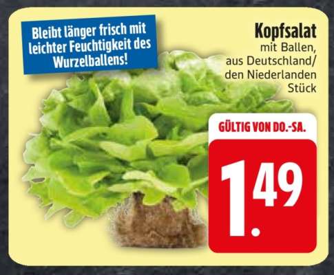 Kopfsalat