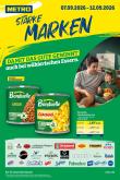 leaflet