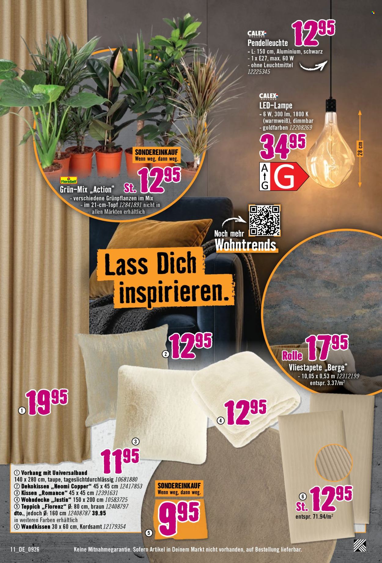 Hornbach Prospekte  - 2.09.2026 - 16.09.2026. Seite 11