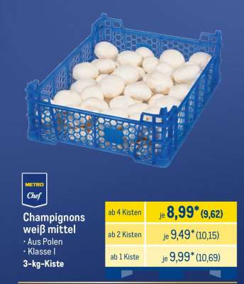 Champignons weiß mittel