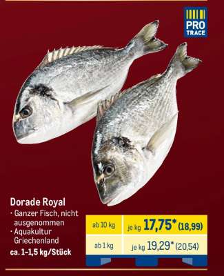 Dorade Royal