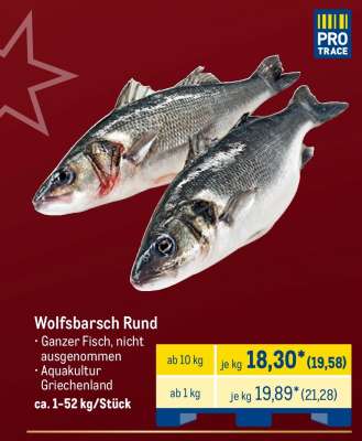 Wolfsbarsch Rund