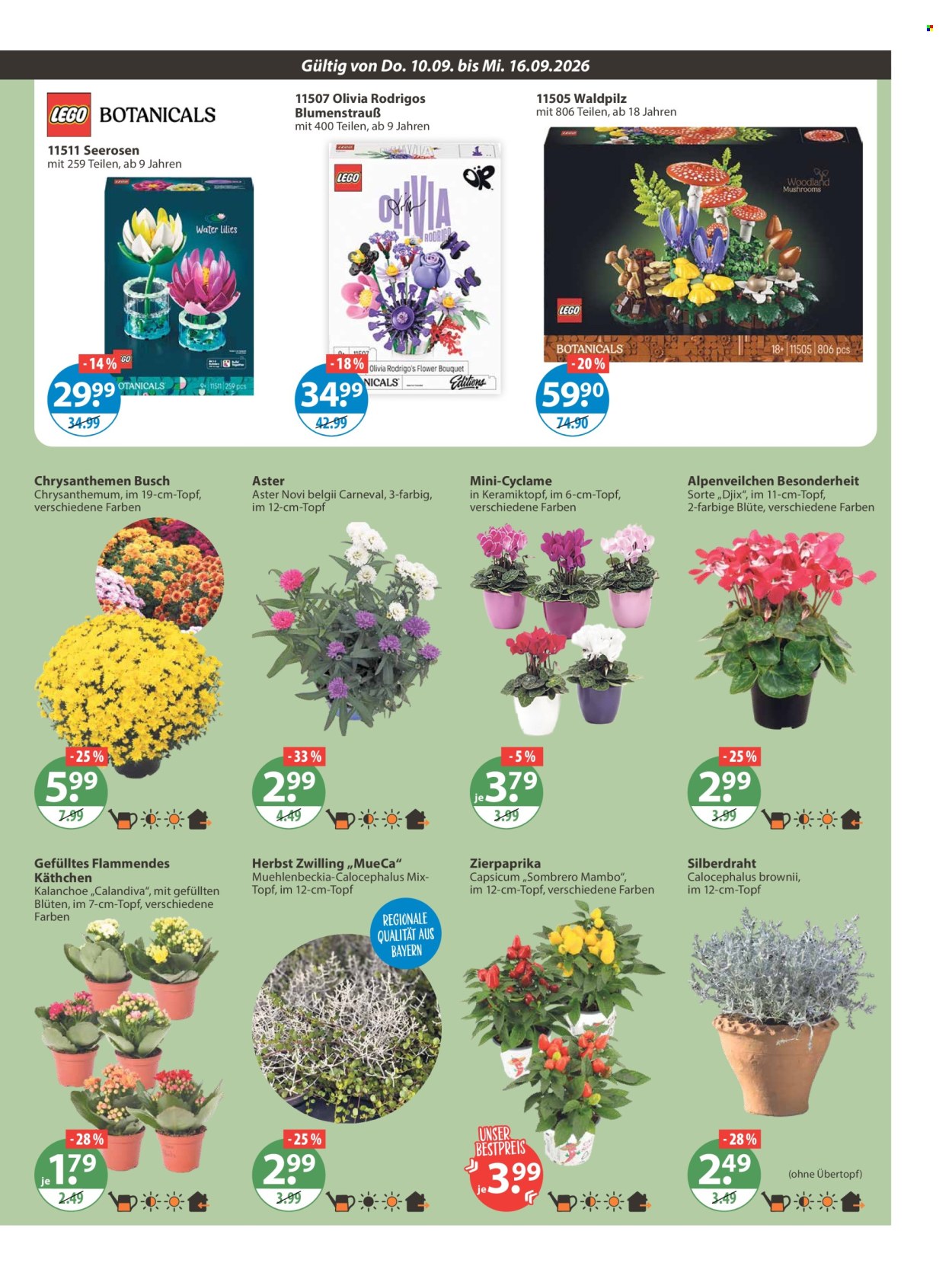 V-Markt Prospekte  - 10.09.2026 - 16.09.2026. Seite 15