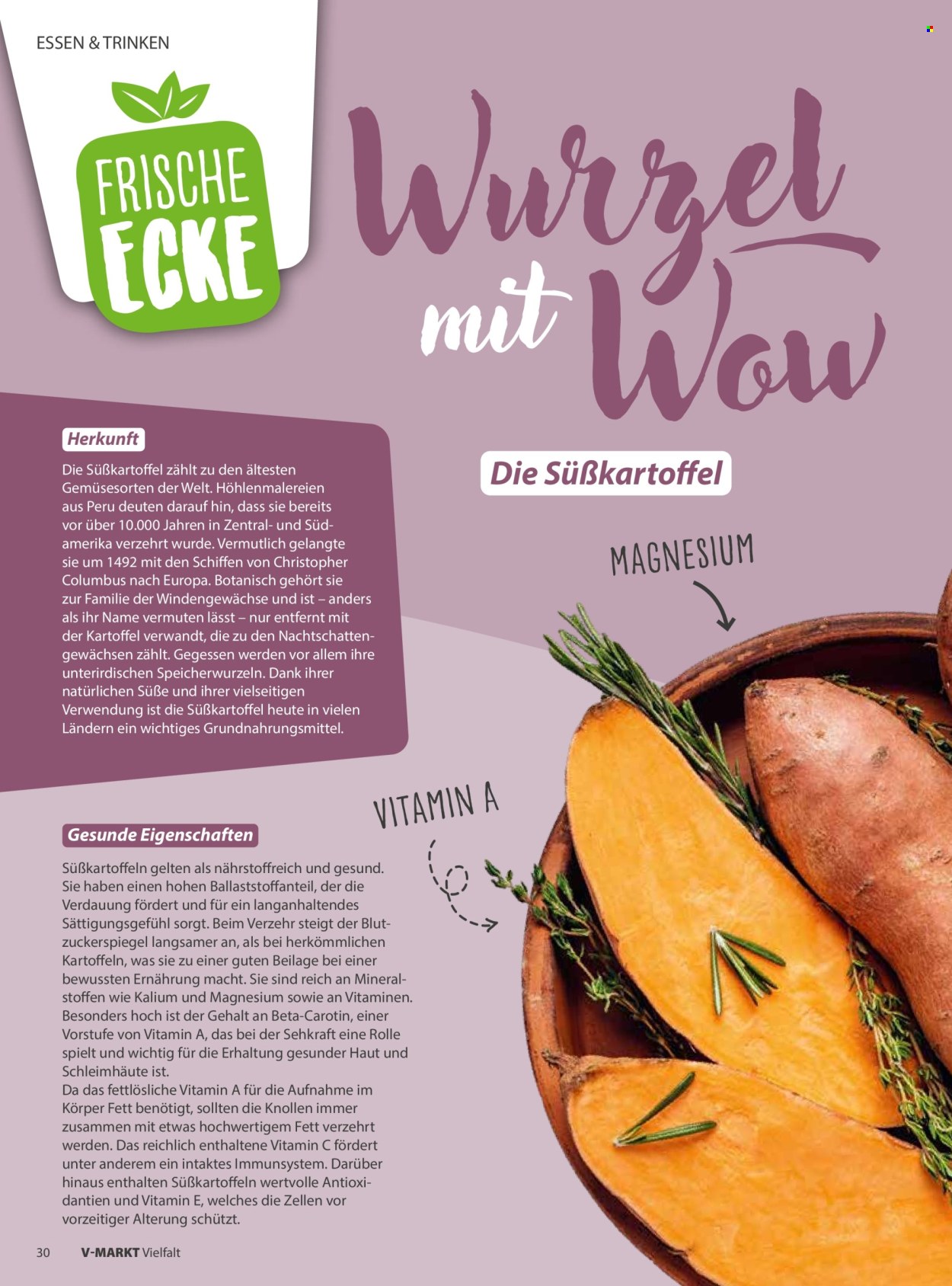 V-Markt Prospekte  - 1.09.2026 - 31.10.2026. Seite 30