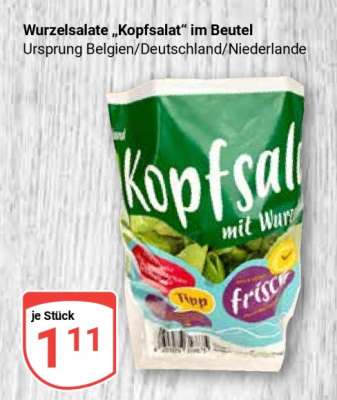 Wurzelsalate „Kopfsalat“ im Beutel