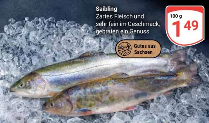 Saibling